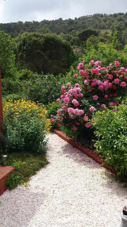 בניולס-סור-מר Villa Bougainvilliers חדר תמונה